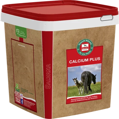 SALVANA CALCIUM PLUS - Kaltsiumipreparaat