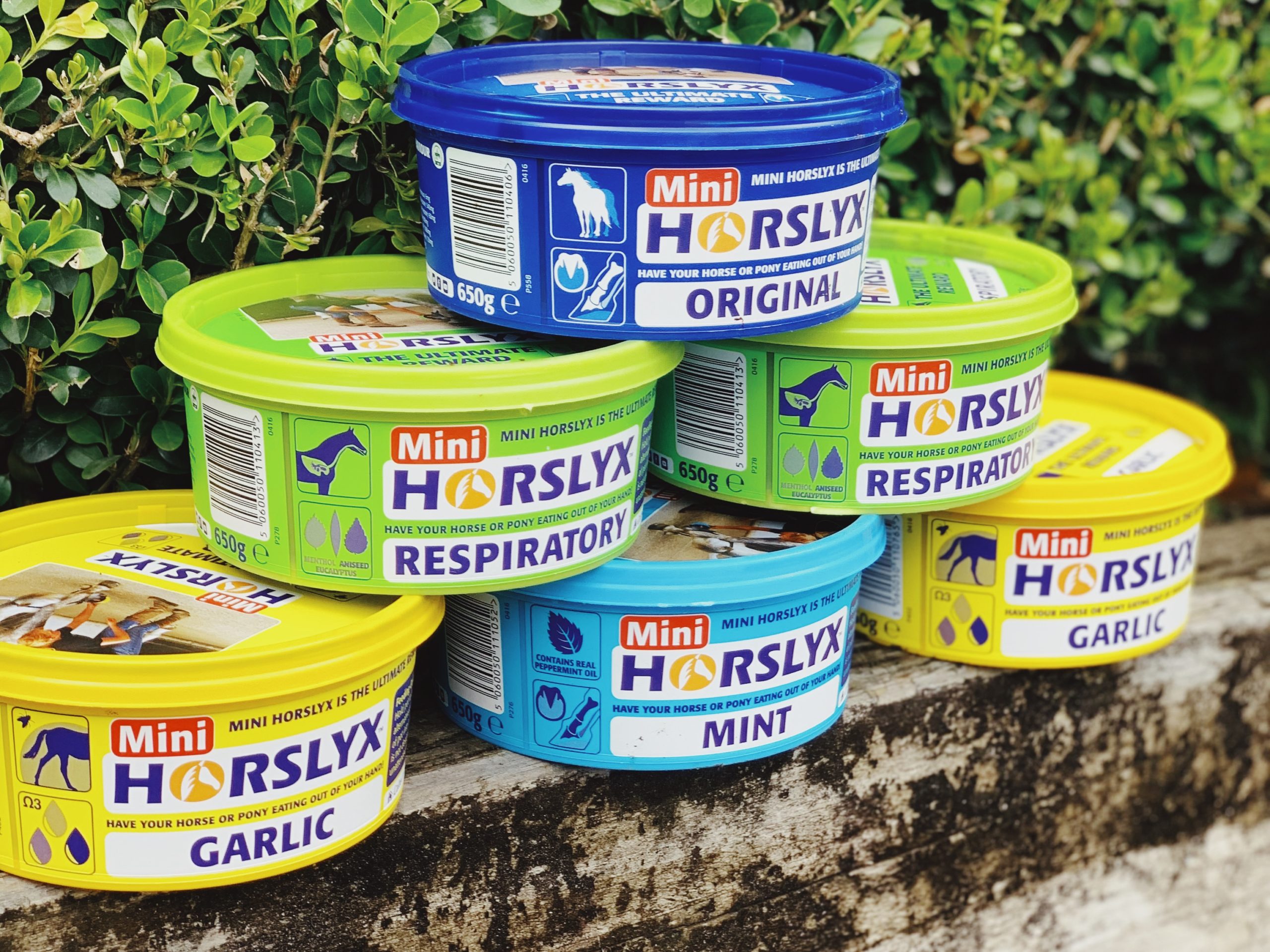 Horslyx Mini Licks Selection Box - Coffret 6 X 650g (Menthe, Ail, Mobilité, Respiratoire, Pro Digest)