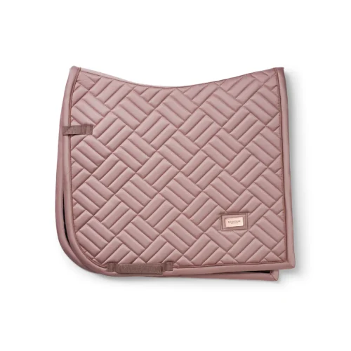Modern Blush koolisõidu-valtrap